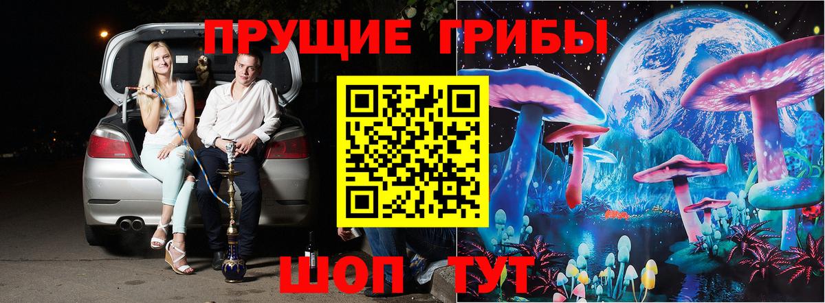 Псилоцибиновые грибы Psilocybine cubensis Каспийск