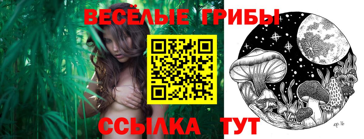 Галлюциногенные грибы прущие грибы  Псилоцибиновые грибы Magic Shrooms  Каспийск  Вход с VPN 